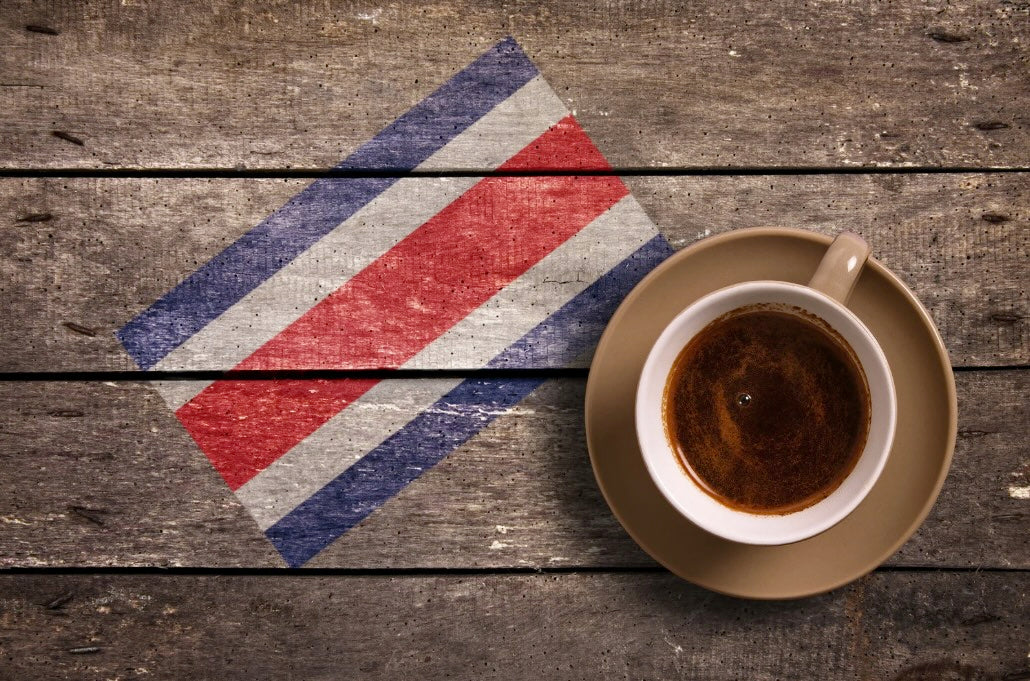 The story behind Costa Rican Coffee, The Hidden Gem of Central America.