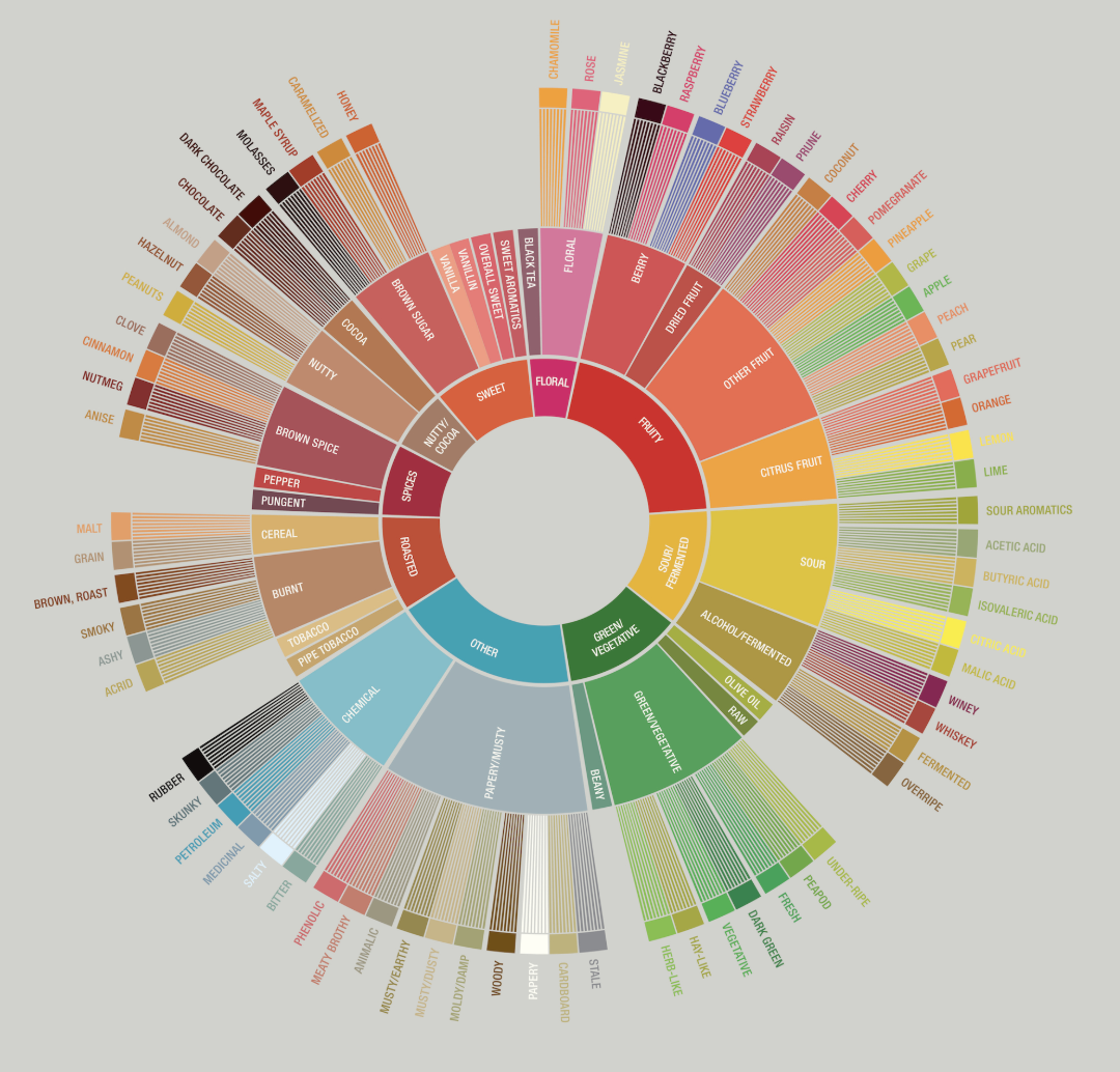 How To Refine Your Coffee Palate
