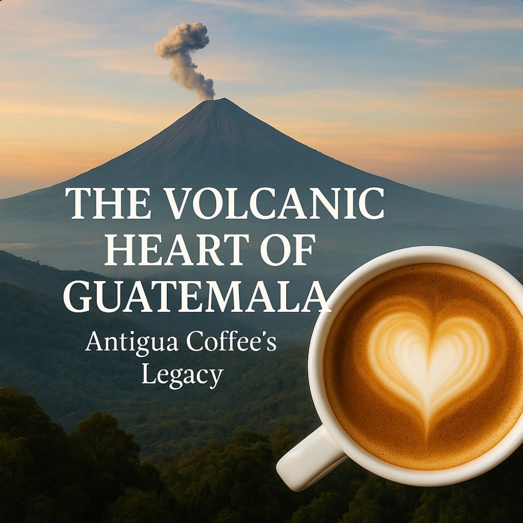 The Volcanic Heart of Guatemala: Antigua Coffee’s Legacy