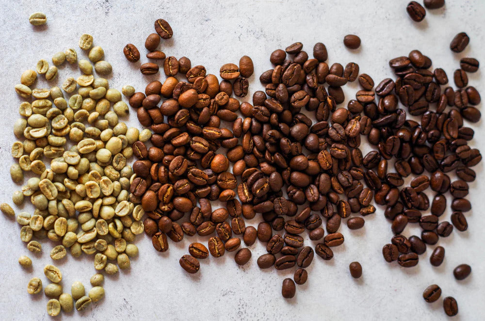 Exploring the Different Roast Levels and Coffee Dynamics