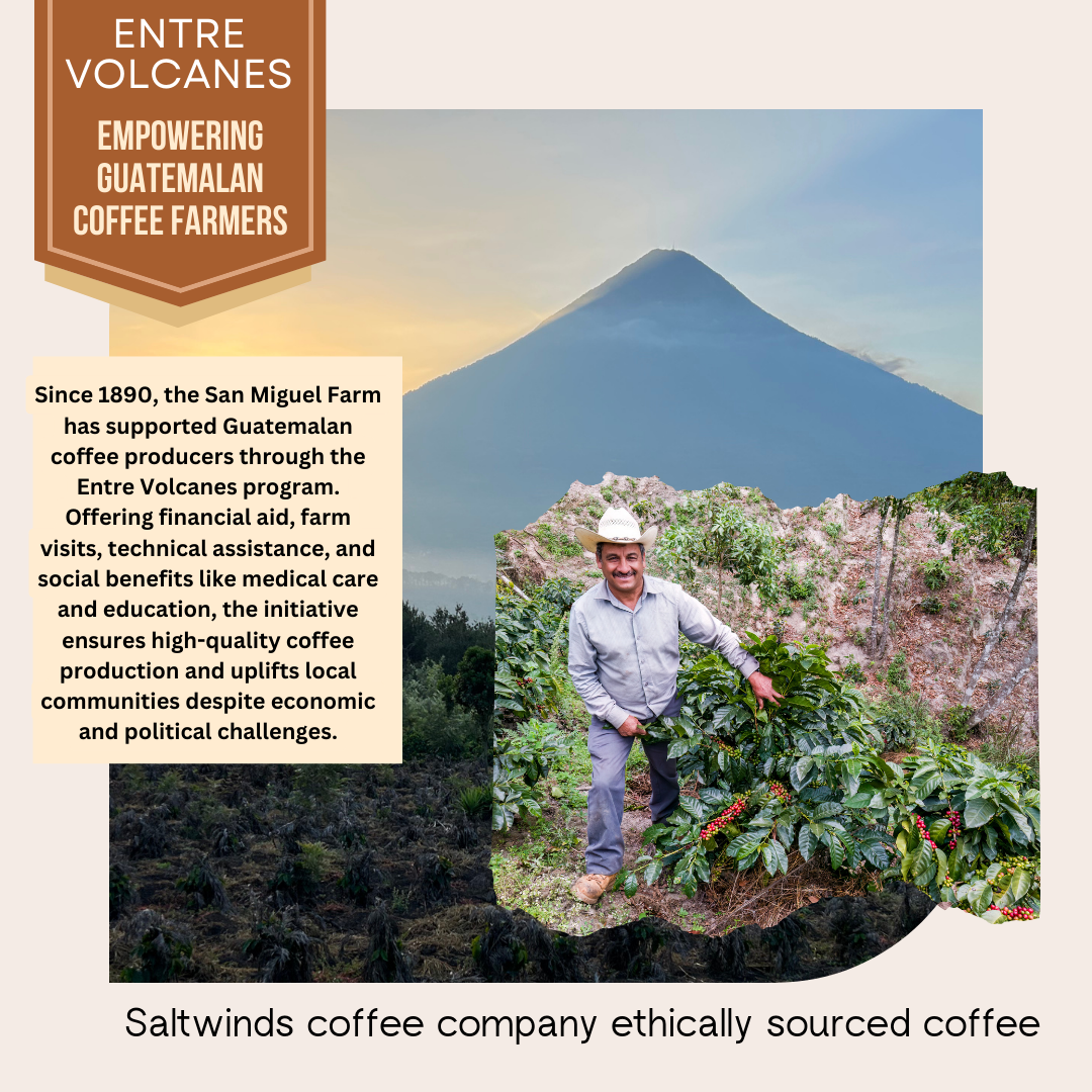 Guatemalan - Antigua - Single Origin Coffee